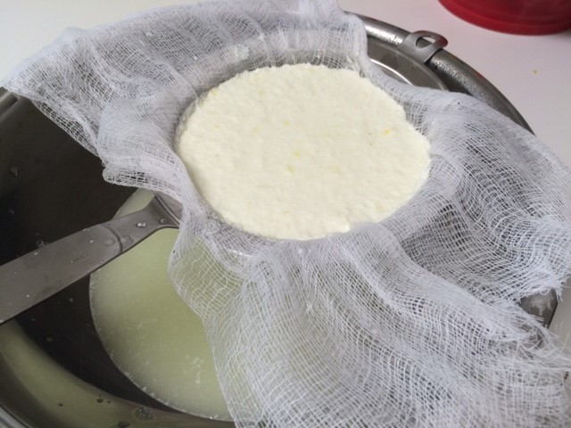 san-marino-cheese